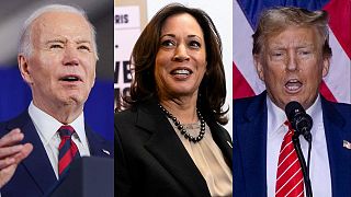 Biden, Harris és Trump