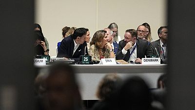 Wopke Hoekstra (L), Teressa Ribera and Dan Jorgensen at the COP28 summit in Dubai last year. The trio is now set to lead the EU's climate and energy policy.