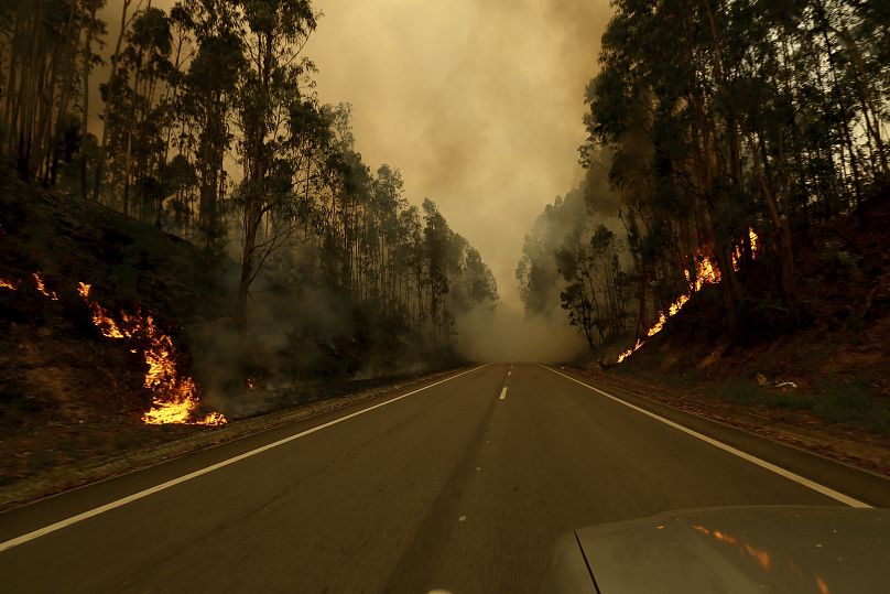 Wildfire advances near Sever do Vouga, a town in northern Portugal that has been surrounded by forest fires, Tuesday, Sept. 17, 2024.