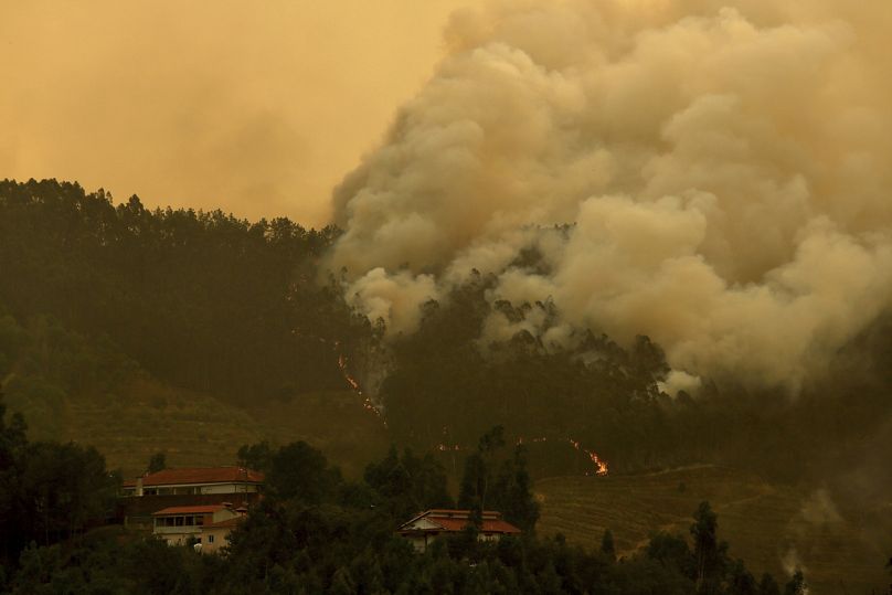 Un feu progresse près de Sever do Vouga au Portugal