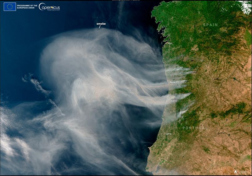 Image, acquise par le satellite Copernicus Sentinel-3 le 17 septembre, montrant l'important nuage de fumée généré par les incendies.