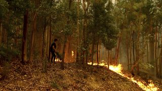 Mais de cinco mil operacionais combatem mais de 100 incêndio