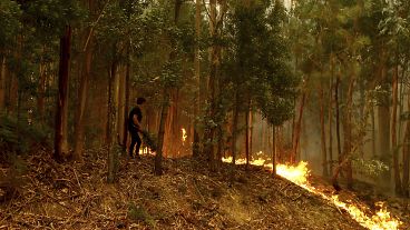 Más de cinco mil operativos luchan contra más de 100 incendios