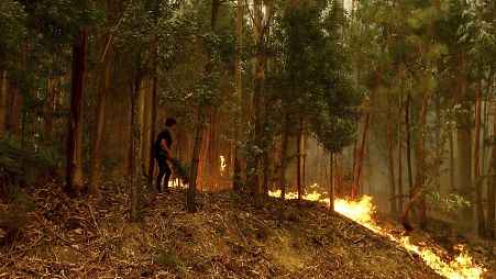 Plus de cinq mille agents luttent contre plus de 100 incendies