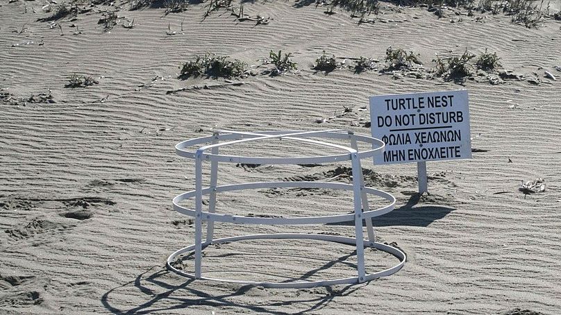 The area of a turtle nest on the beach by the Akrotiri British base area, near the coastal city of Limassol, Cyprus.