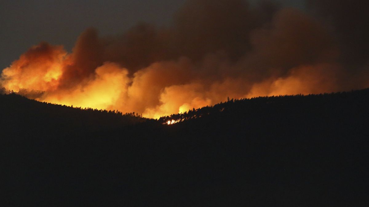 Regiões norte e centro de Portugal enfrentam incêndios florestais de grandes dimensões