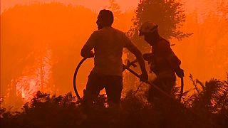 Firefighters and population join forces to fight the flames