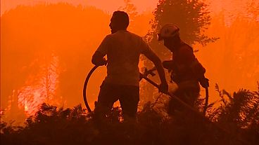 Firefighters and population join forces to fight the flames