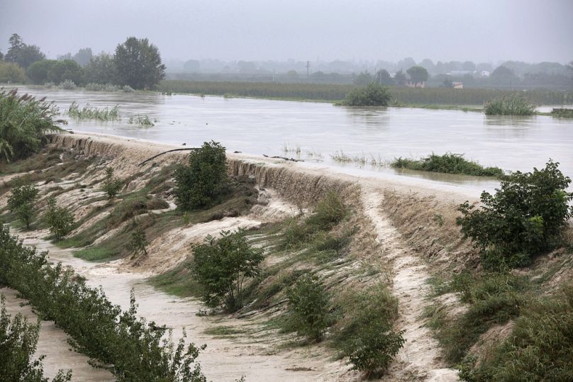 The Lamone river overflows its banks near Bagnacavallo, in the region of Emilia-Romagna, Italy.