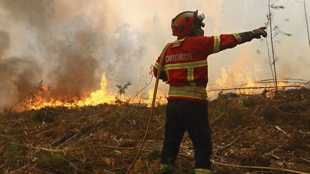 Video. Waldbrände in Portugal: 4000 Feuerwehrleute kämpfen gegen die ...