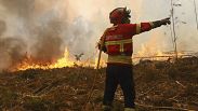 Environ 4 000 pompiers sur le terrain pour lutter contre 19 incendies en cours