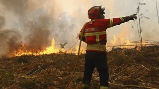 Circa 4.000 vigili del fuoco impegnati a combattere 19 incendi in corso