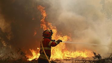 A firefighter works to extinguish a fire on the outskirts of Sever do Vouga