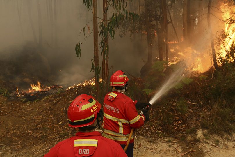 Des pompiers s'efforcent d'éteindre un incendie dans une forêt d'eucalyptus à la périphérie de Sever do Vouga.