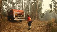 Um bombeiro puxa uma mangueira enquanto trabalha para extinguir um incêndio numa floresta de eucaliptos nos arredores de Sever do Vouga, Portugal, na quarta-feira, 18 de setembro de 2024.