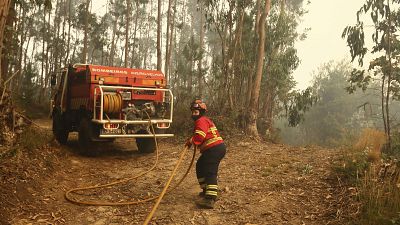 A firefighter pulls a hose while working to extinguish a fire in an eucalyptus forest on the outskirts of Sever do Vouga, Portugal on Wednesday, Sept. 18, 2024.