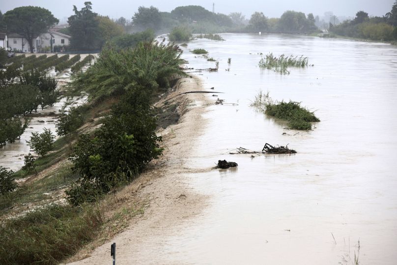 The Lamone river overflows its banks near Bagnacavallo, in the region of Emilia-Romagna, Italy, Thursday, Sept. 19, 2024.