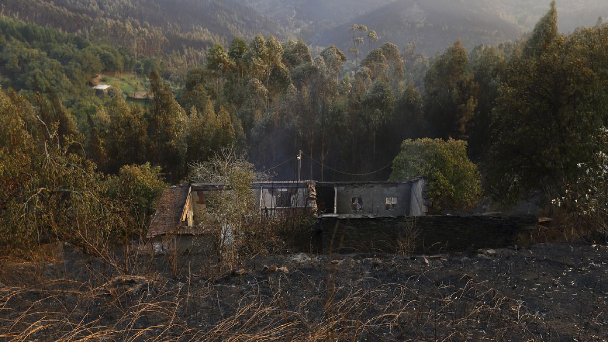 Le Portugal observe un jour de deuil national en mémoire des victimes d'incendies 