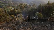 Portugal celebra un día de luto nacional en memoria de las víctimas del incendio.