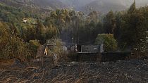 Portugal celebra un día de luto nacional en memoria de las víctimas del incendio.