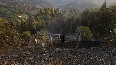 Η Πορτογαλία κηρύσσει ημέρα εθνικού πένθους στη μνήμη των θυμάτων της πυρκαγιάς 