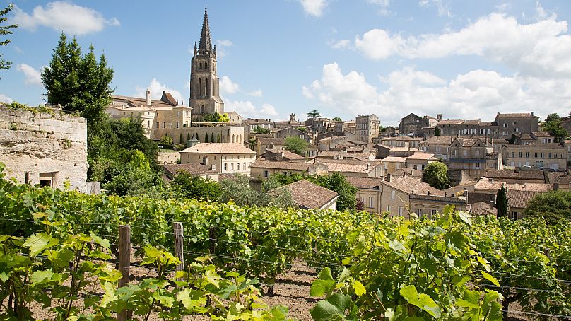 Bordeaux, Saint Emilion'da bir üzüm bağı