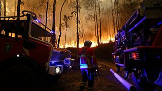 Firefighters work to extinguish a fire on the outskirts of Sever do Vouga, a town in northern Portugal.