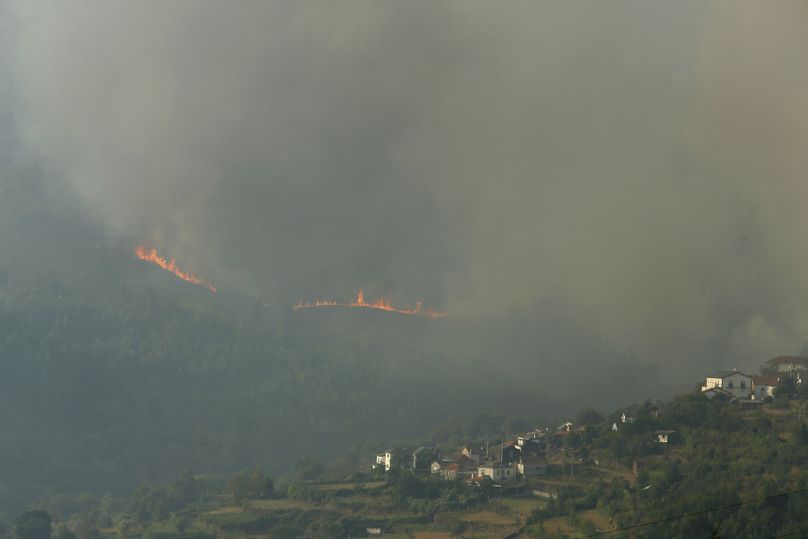 Incêndio lavra numa floresta perto de casas perto de Castro Daire, uma vila numa das zonas do norte de Portugal atingidas pelos incêndios florestais.