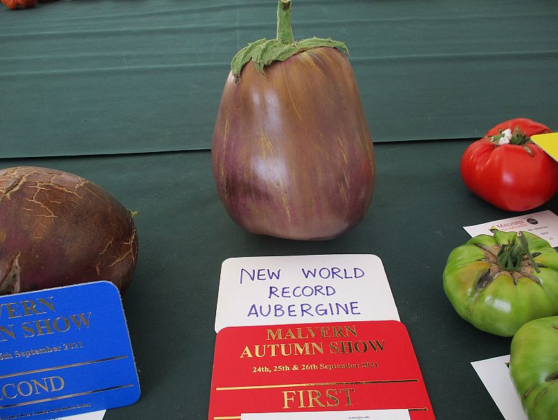 One of Peter's record-breaking vegetables.