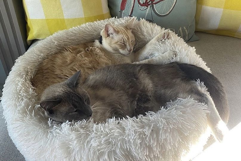 Rayne Beau (aşağıda)