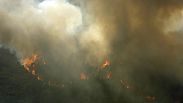 Trees burn on a hillside near Castro Daire, a town in one of the areas in northern Portugal worst hit by the forest fires of the recent days, Thursday, Sept. 19, 2024.