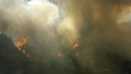 Trees burn on a hillside near Castro Daire, a town in one of the areas in northern Portugal worst hit by the forest fires of the recent days, Thursday, Sept. 19, 2024.