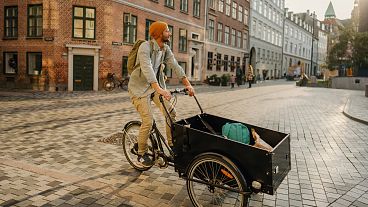 Bicicleta de carga