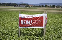 FILE - A poster for the No campaign ahead of a biodiversity referendum due to take place on Sept. 22, is seen in a field in Hoechstetten, Switzerland, Friday, Aug. 23, 2024