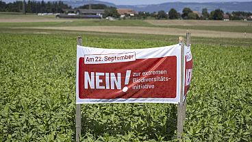 FILE - Un manifesto della campagna per il No, in vista del referendum sulla biodiversità previsto per il 22 settembre, è visto in un campo di Hoechstetten, in Svizzera, venerdì 23 agosto 2024.