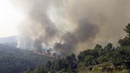 Manifestaciones en Portugal por los incendios