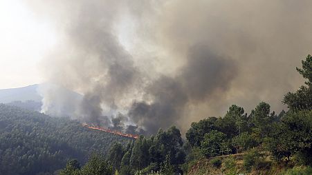 Manifestaciones en Portugal por los incendios