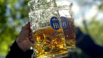 Des fêtards trinquent avec leurs chopes de bière dans le jardin de la bière "Taxisgarten" à Munich.