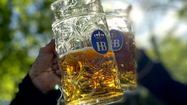 Pessoas brindam com as suas canecas de cerveja no jardim de cerveja "Taxisgarten" em Munique.