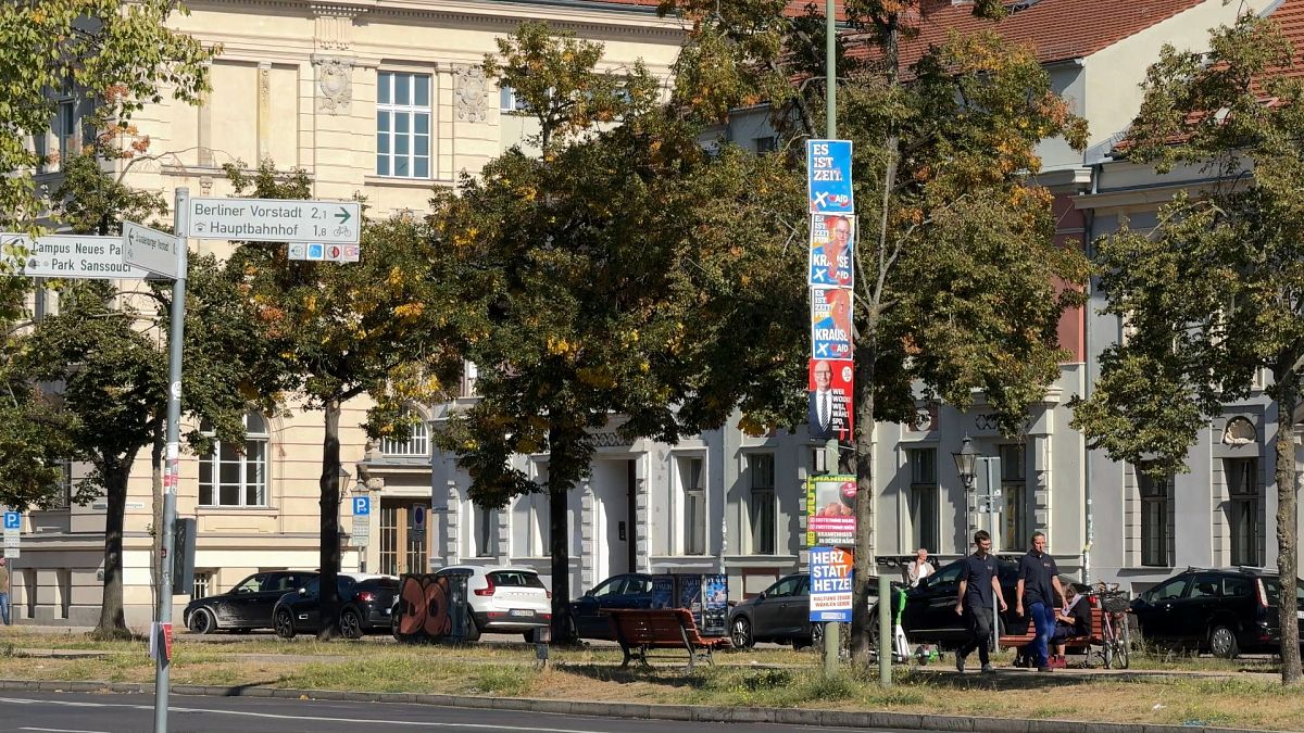 Megrongált AfD plakátok Potsdamban