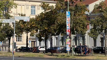 Affiches dégradées de l'AfD à Potsdam