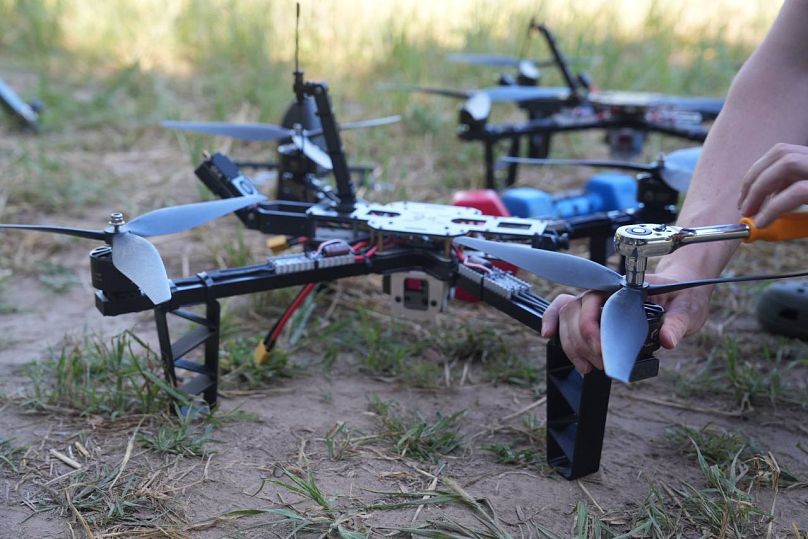 Drones de Wild Hornets