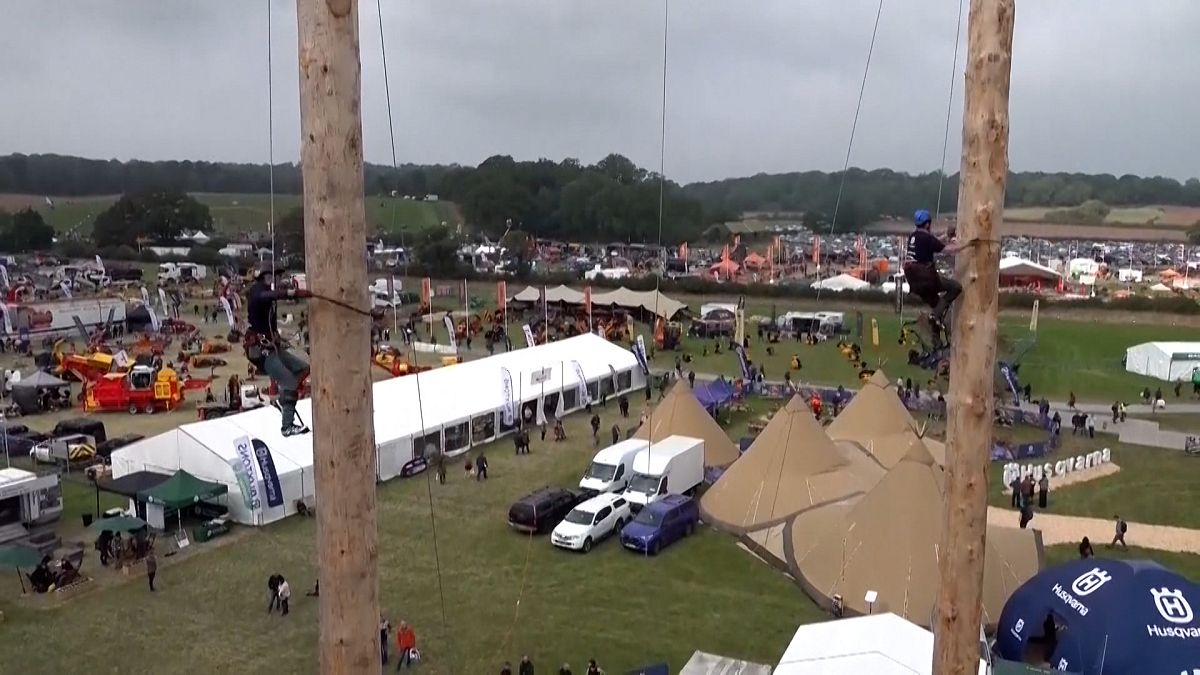 No Comment : championnat d'escalade de vitesse sur troncs d'arbres en Angleterre