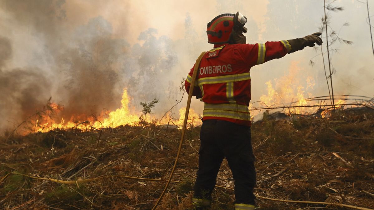 Portugal Firefighters Drawn to Their Limits on Second Day of Wildfire Alert