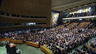 Assemblea generale delle Nazioni Unite