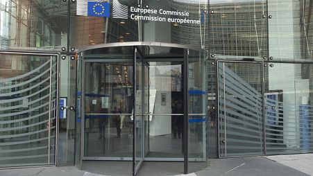 The European Commission has been criticised for repeated revolving-door scandals