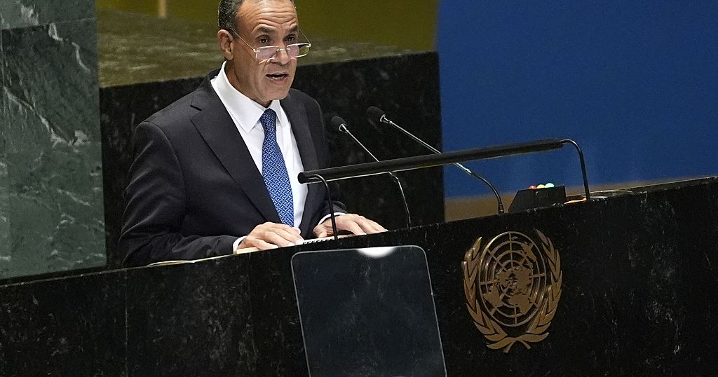 Egypt demands permanent seats for Africa, Arab States at UN Security Council Egypt demands permanent seats for Africa, Arab States at UN Security Council