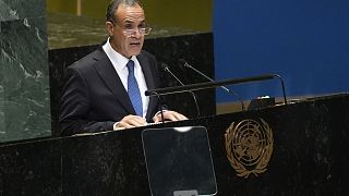 Egypt demands permanent seats for Africa, Arab States at UN Security Council