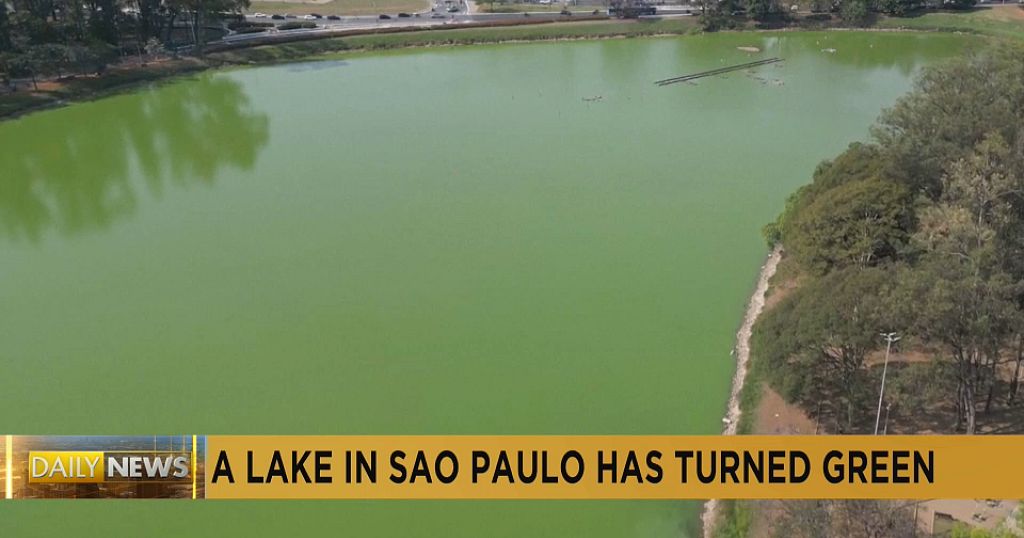 A lake in Sao Paulo turns green due to algae bloom