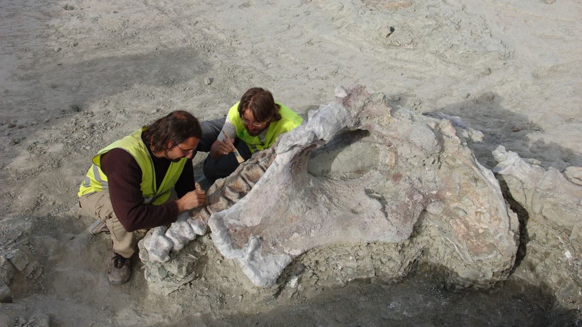 Entdeckung einer neuen 10-Tonnen-Dinosaurierart, die auf der Iberischen Halbinsel lebte